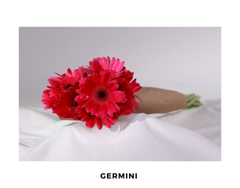 Germini