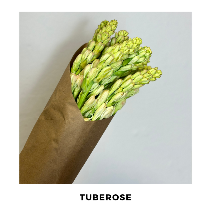 Tuberose