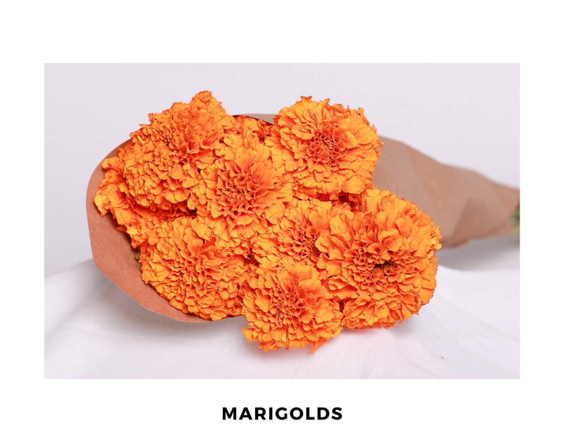 Marigolds