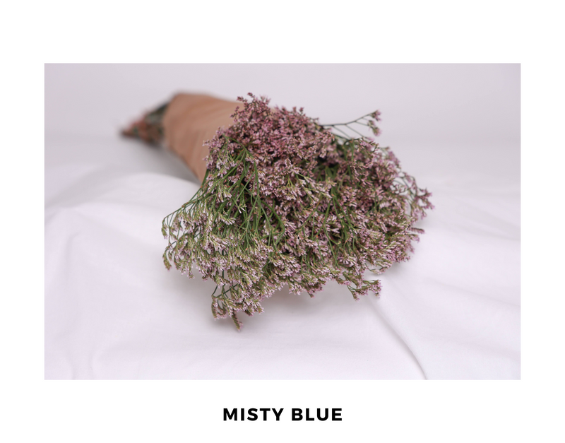 Misty Blue