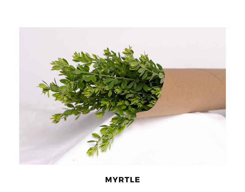 Myrtle