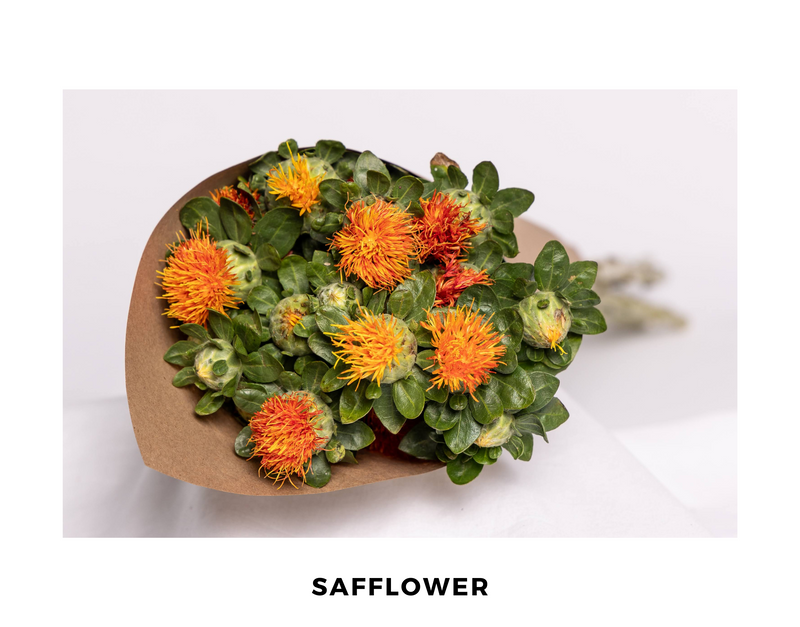 Safflower