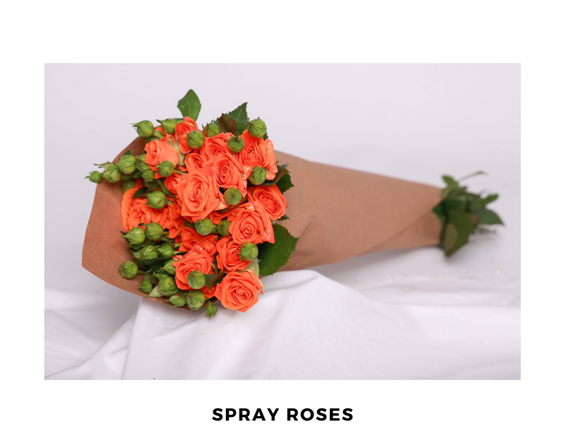 Spray Roses