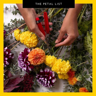 5 Tips for Creating a Floral Arrangement Like A Pro