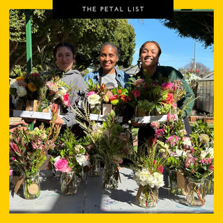 Bloom Where We're Planted: Celebrating National Black Business Month with Love, Culture, and Community