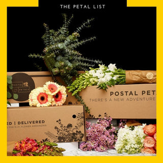 I Received My Bloom Box, What's Next? A Step-By-Step Guide to Starting Your Floral Journey