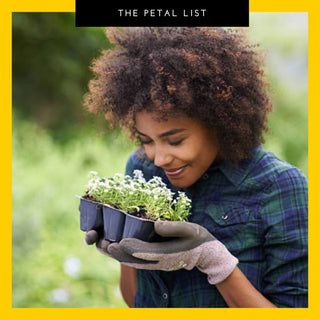 Flowers For Your Mental Garden: Growing For Well-being