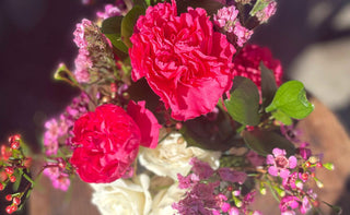 Soil to Soil Initiative — Nurturing a Sustainable Floral Journey