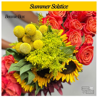 Summer Solstice