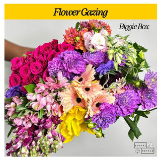 Flower Gazing