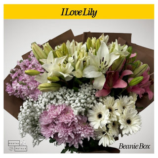 I Love Lily
