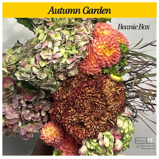 Send a Beanie Box Subscription – DIY Floral Arranging