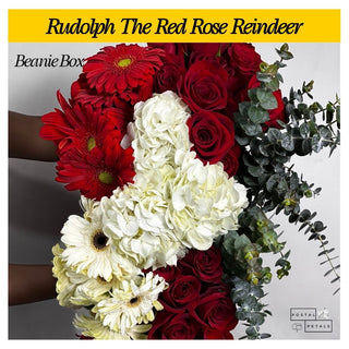 Rudolph The Red Rose Reindeer