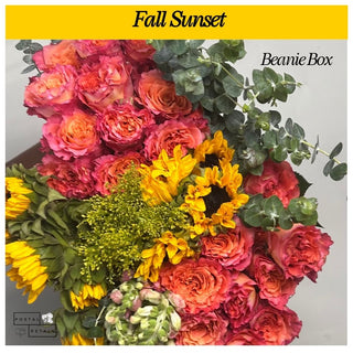 Fall Sunset