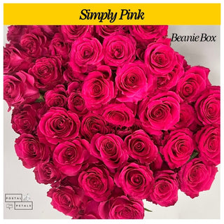 Simply Pink