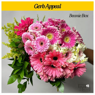 Send a Beanie Box Subscription – DIY Floral Arranging