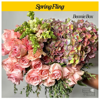 Send a Beanie Box Subscription – DIY Floral Arranging