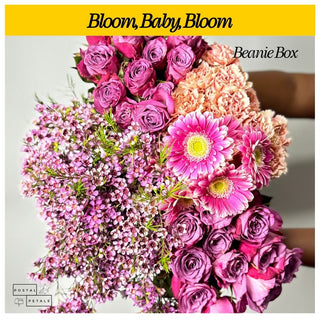 Send a Beanie Box Subscription – DIY Floral Arranging