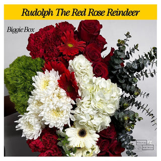 Rudolph The Red Rose Reindeer