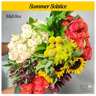 Summer Solstice