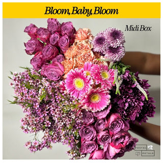 Bloom, Baby, Bloom