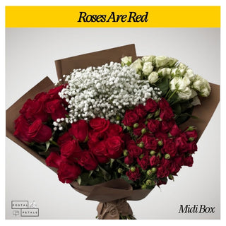 Gift the Midi Bloom Box Subscription – A Floral Experience