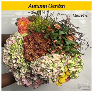 Gift the Midi Bloom Box Subscription – A Floral Experience