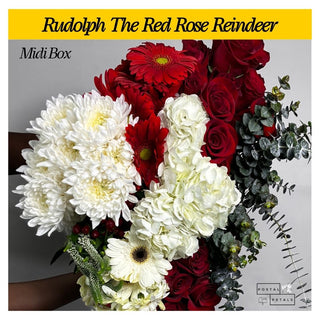 Rudolph The Red Rose Reindeer