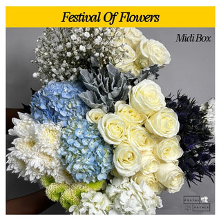 Festival Of Flowers