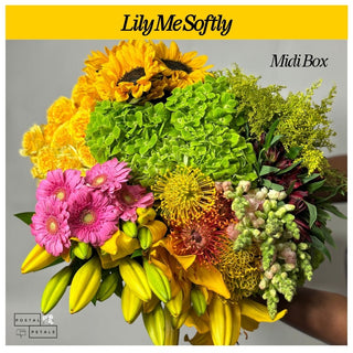 Gift the Midi Bloom Box Subscription – A Floral Experience