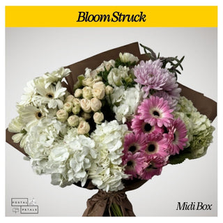 Gift the Midi Bloom Box Subscription – A Floral Experience