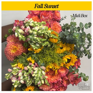 Fall Sunset
