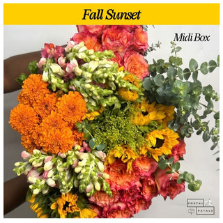 Fall Sunset