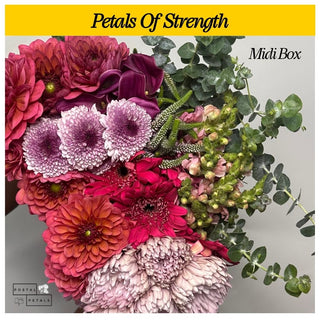 Gift the Midi Bloom Box Subscription – A Floral Experience
