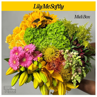 Lily Me Softly