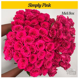 Gift the Midi Bloom Box Subscription – A Floral Experience