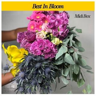 Best In Bloom