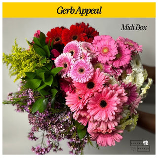 Gerb Appeal