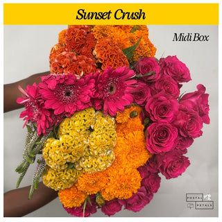 Gift the Midi Bloom Box Subscription – A Floral Experience