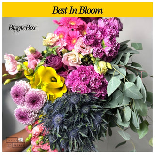 Send a Biggie Box Subscription – Perfect Gift for Floral Enthusiasts
