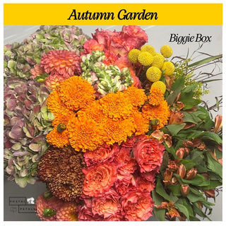 Send a Biggie Box Subscription – Perfect Gift for Floral Enthusiasts