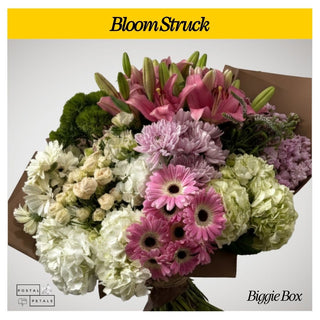 Send a Biggie Box Subscription – Perfect Gift for Floral Enthusiasts
