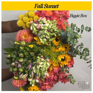 Fall Sunset