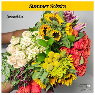 Summer Solstice