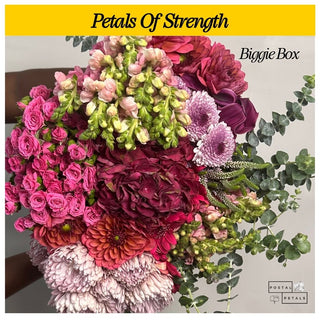 Send a Biggie Box Subscription – Perfect Gift for Floral Enthusiasts