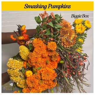 Send a Biggie Box Subscription – Perfect Gift for Floral Enthusiasts
