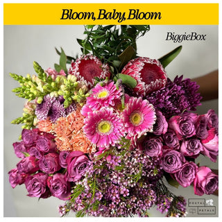 Send a Biggie Box Subscription – Perfect Gift for Floral Enthusiasts