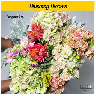 Blushing Blooms