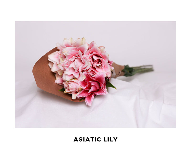 Asiatic Lily