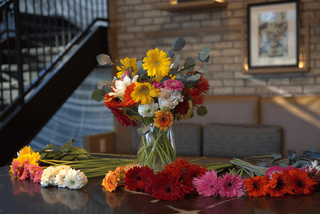 BBL DAISIES Postal Petal flowers in a vase